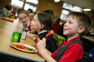 school lunch