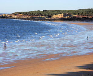 Gullane Beach